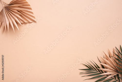 Decorative tropical palm dry leaves on beige background. Copy space
