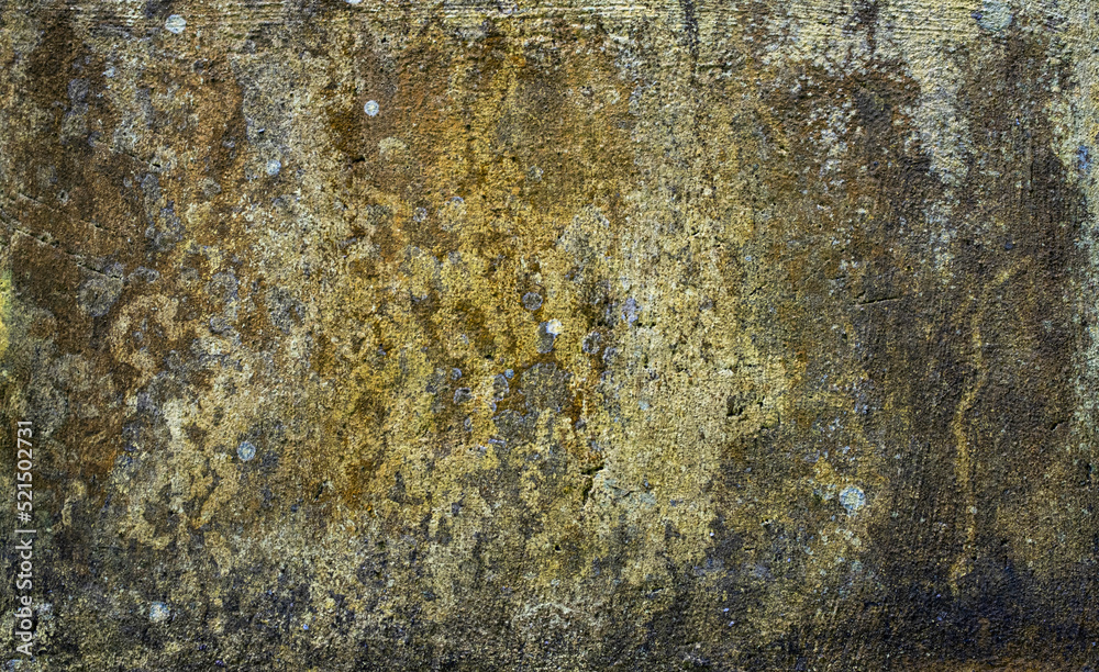 Concrete wall covered in moss and mildew texture Concrete wall covered in moss and mildew texture