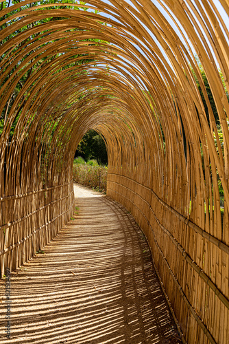 passage sous un tunnel de bambous