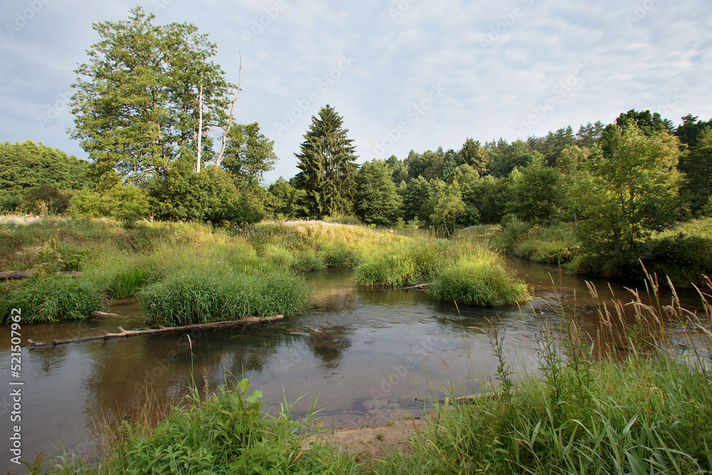 Nature of Belarus, summer landscape with a small river