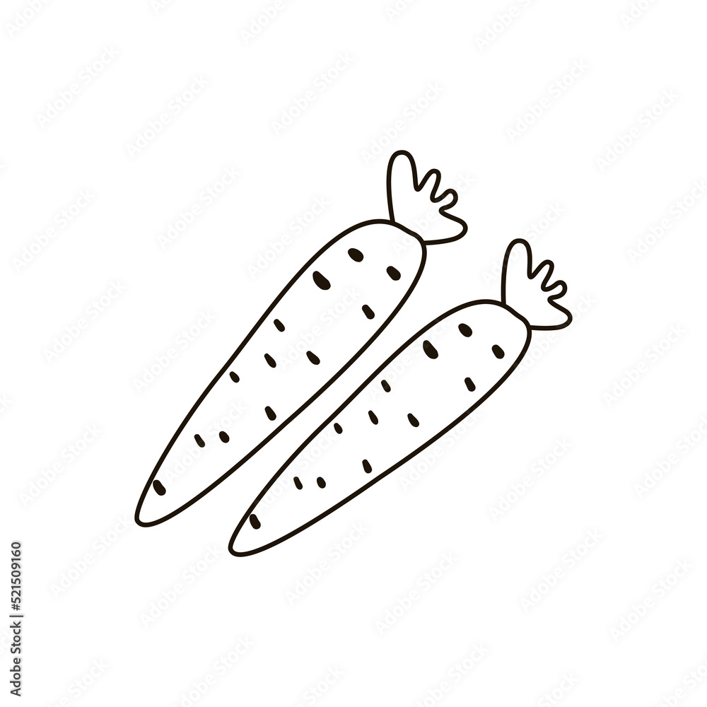 Single hand drawn carrot. Doodle vector illustration. Isolated on white background.