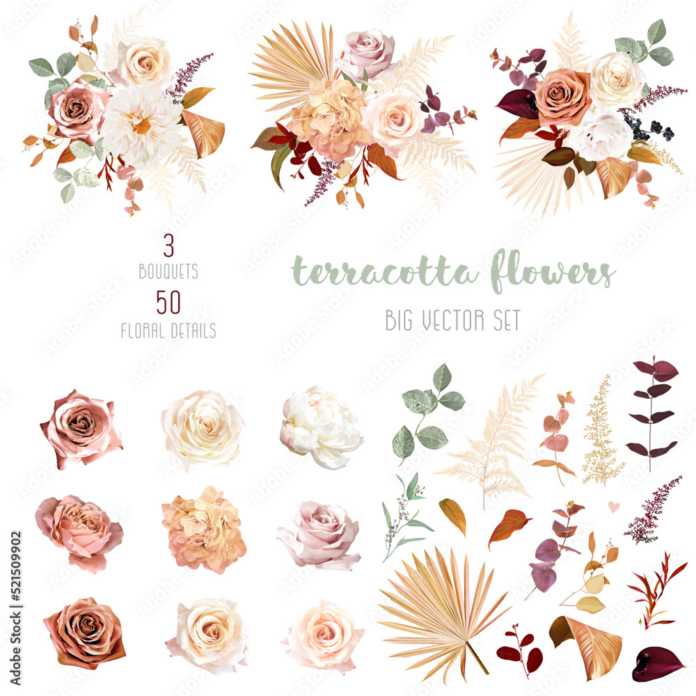 Fototapeta premium Rust orange, beige, white rose, burgundy anthurium flower, pampas grass, fern, dried palm leaves vector design big set
