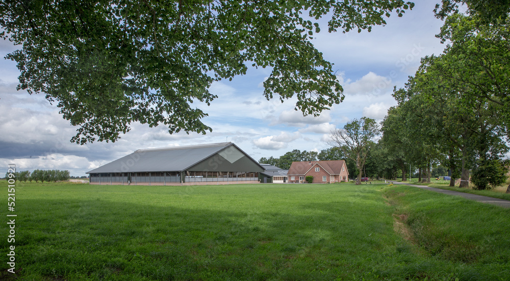 cattle barn, modern farm, Netherlands. Groningen cattle barn, modern farm, Netherlands. Groningen