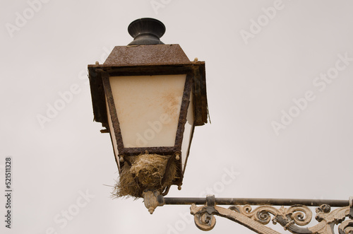 Nest of Spanish sparrow Passer hispaniolensis on a street light. Troya. Agaete. Gran Canaria. Canary Islands. Spain. photo