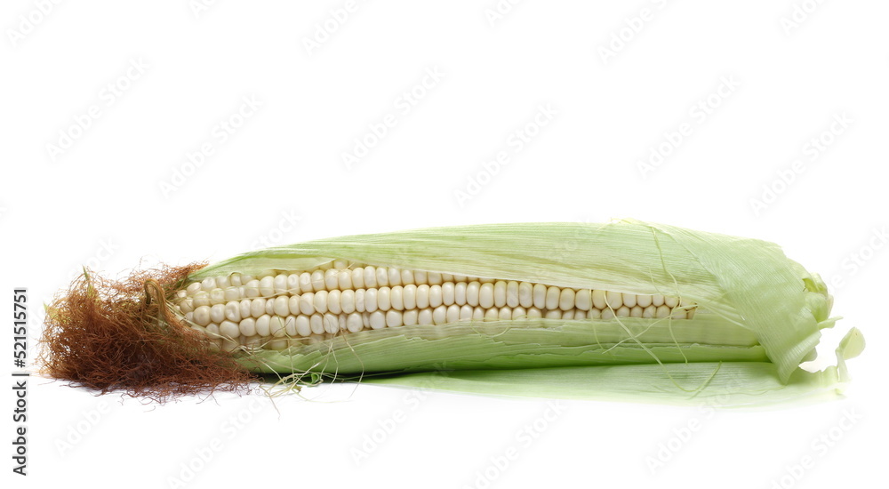 Cob of corn with green leaves isolated on white Cob of corn with green leaves isolated on white