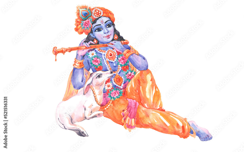 God Krishna is a beautiful young shepherd boy playing a flute and a calf is near his feet, the art is painted in watercolor on a white background.