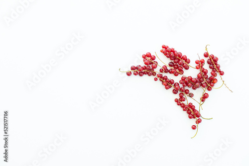 Branch of red currant isolate on white