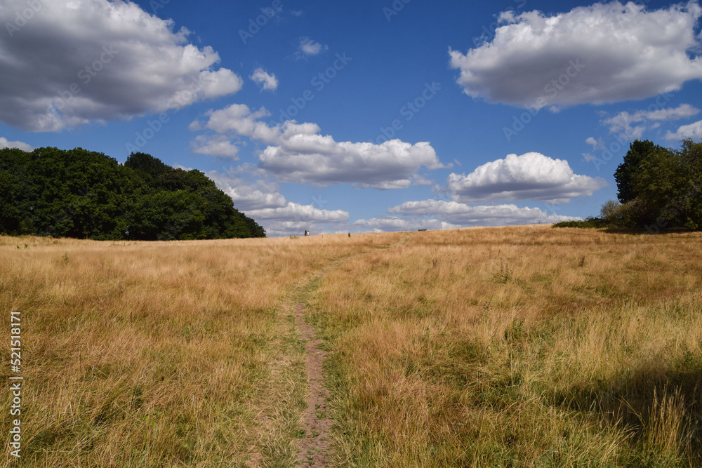 Parched landscape in Hampstead Heath in London, UK due to hot weather and drought conditions caused by climate change.