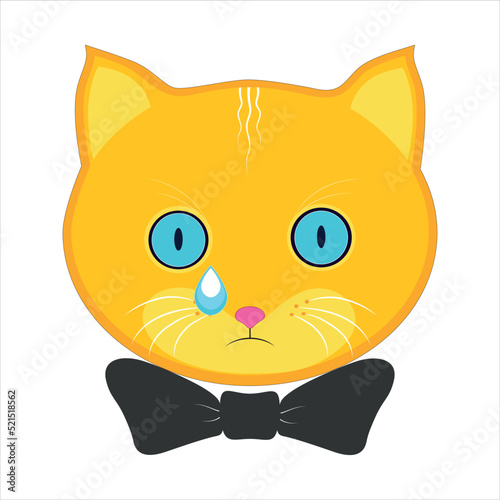 Signs and symbols of an orange cat, Emoji, crying, a dripping tear. Vector.