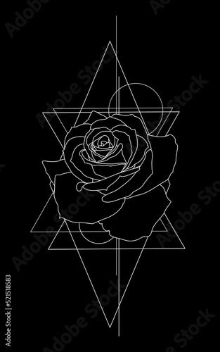 Black and white illustration. Rose with geometry. Design for tattoo, logo, typography. Vector.