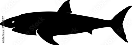 Black silhouette of a shark isolated on a white background. Vector illustration