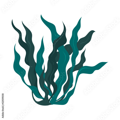 green seaweed design