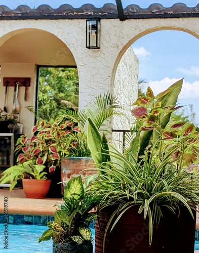 balcony with flowers