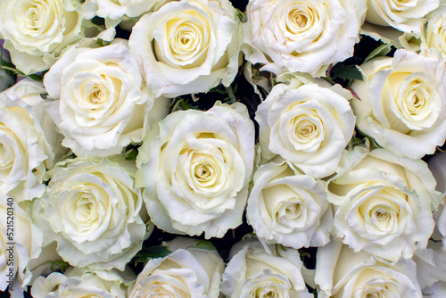 many white roses in a bouquet top view