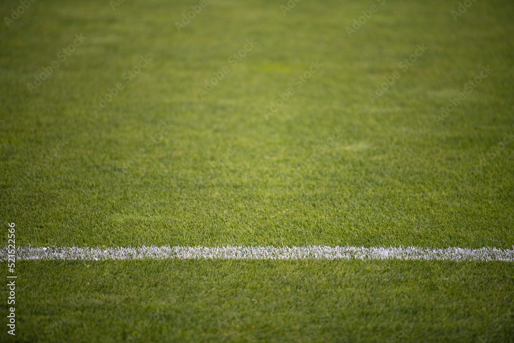 Beautiful fresh green grass on football field, soccer field with outer lines.