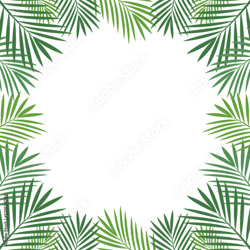 Tropical frame on white background