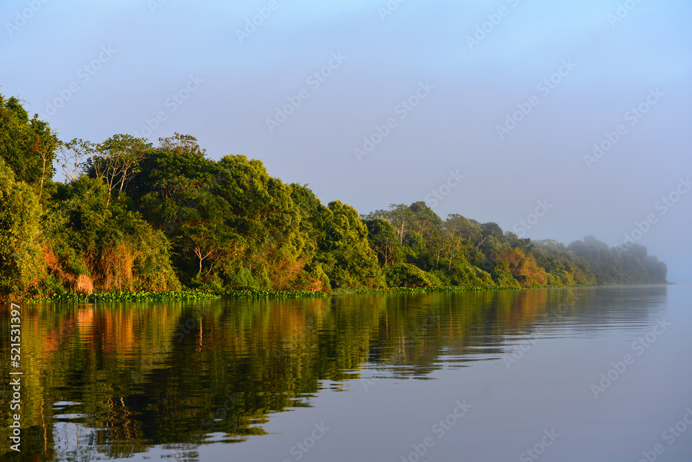 A foggy sunrise on the rainforest-lined banks of the Guaporé - Itenez river, near the remote village of Remanso, Beni Department, Bolivia, on the border with Rondonia state, Brazil A foggy sunrise on the rainforest-lined banks of the Guaporé - Itenez river, near the remote village of Remanso, Beni Department, Bolivia, on the border with Rondonia state, Brazil