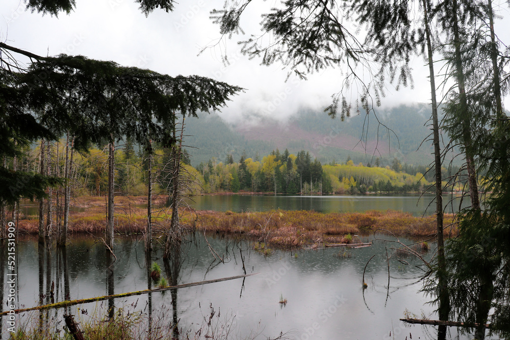 Obraz premium Foggy Morning on the Lake