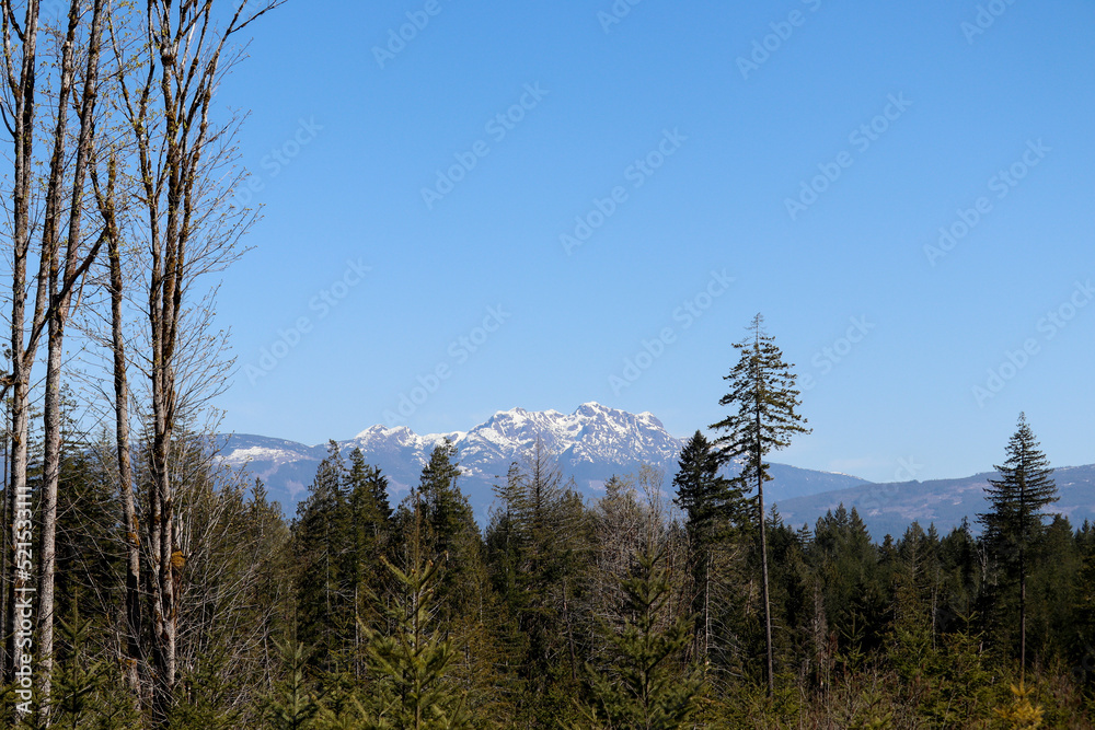 Mountain in the Distance