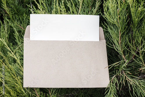 The opened envelope made of kraft paper is framed by branches of a creeping juniper. photo