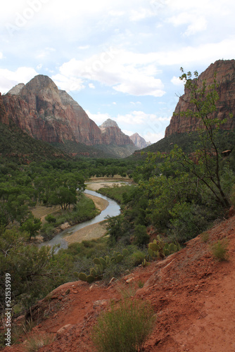 Shallow slow moving river carves an ancient muddy path through the lush tree lined canyon within the park © TheColorDana