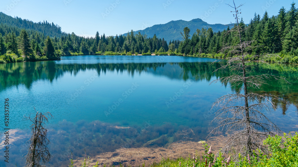 Fototapeta premium Gold Creek Pond Lake