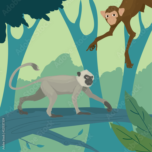 poster of chimpanzee and capuchin monkey