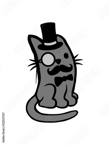 Sir Katze Bart Mann 