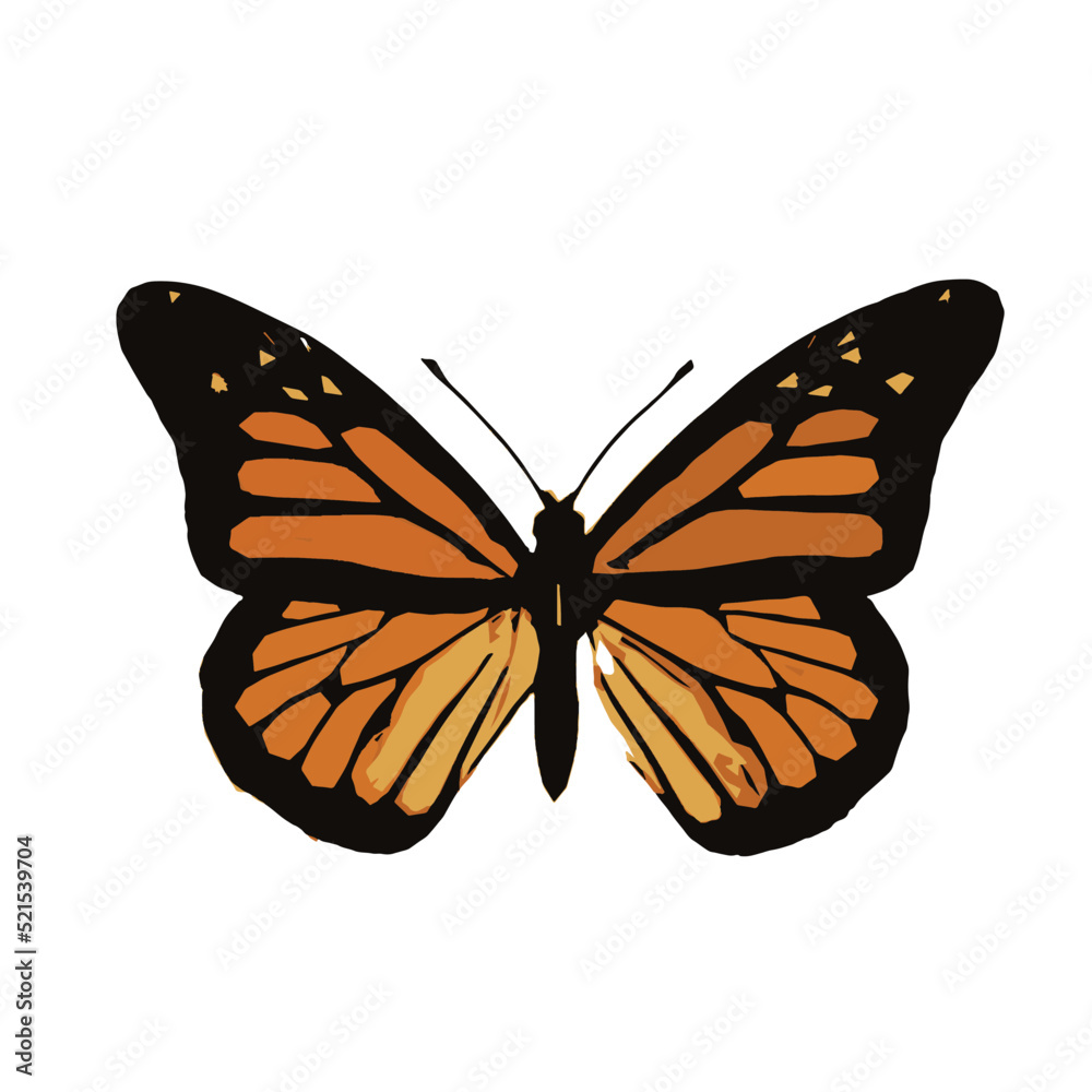 Fototapeta premium butterflies