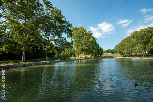 lake in the park