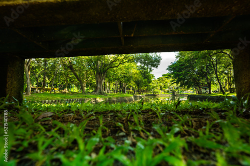 Public park with bench frame in Chiang Mai Province