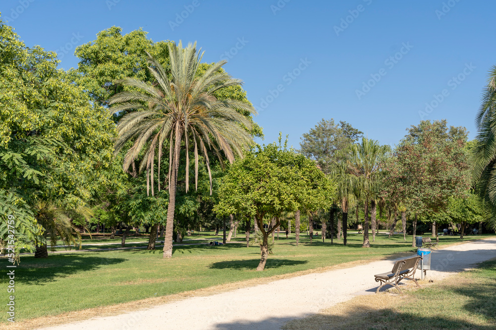 jardin public avec des palmiers