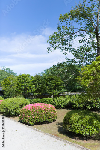 日南市豫章館の庭園	
