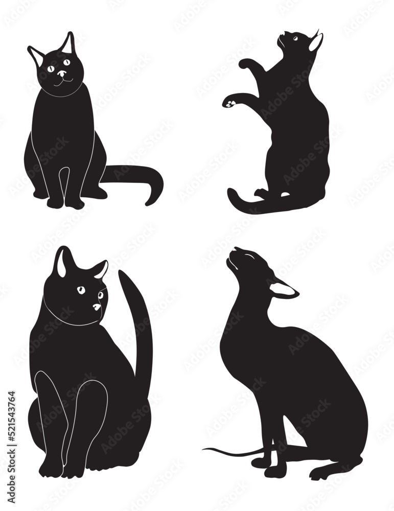  Group of four black cats with blank details. Vector illustrations isolated on white background.