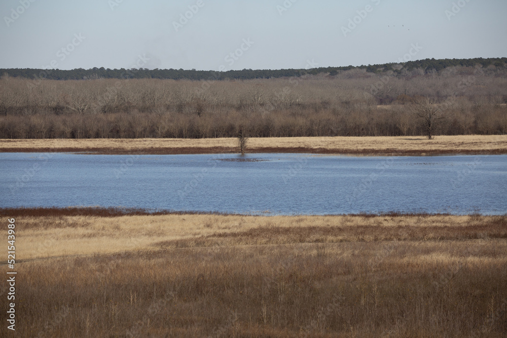 Meadow, Lake, and Forest Meadow, Lake, and Forest
