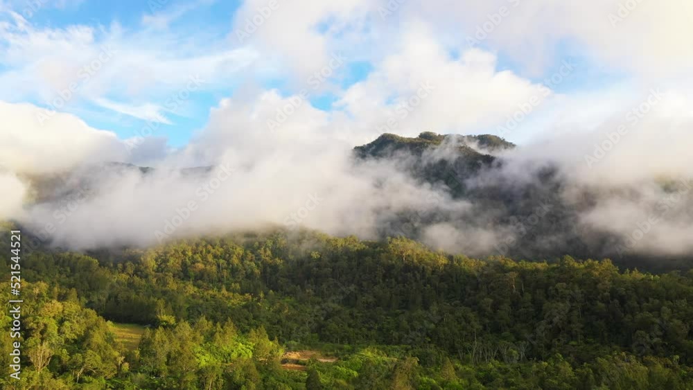 Lush green rainforest in the mountains at sunrise. Aerial drone view of the jungle located on the island of Mindanao, Philippines. Lush green rainforest in the mountains at sunrise. Aerial drone view of the jungle located on the island of Mindanao, Philippines.