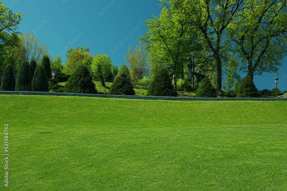 Beautiful view of landscape with fresh green grass and trees outdoors Beautiful view of landscape with fresh green grass and trees outdoors