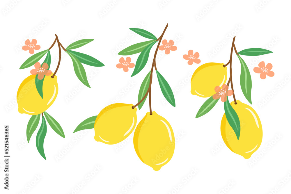 Simple lemonade clipart isolated on white background
