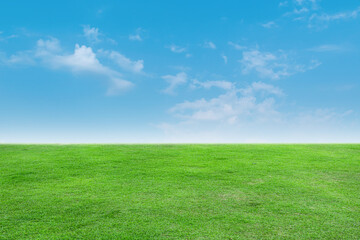 Landscape view of green grass with bright blue sky and clouds background.