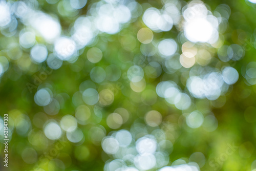 Abstract green nature bokeh background. blurred bokeh from natural leaves.