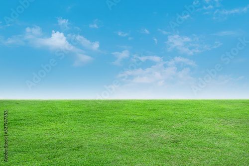 Landscape view of green grass with bright blue sky and clouds background.