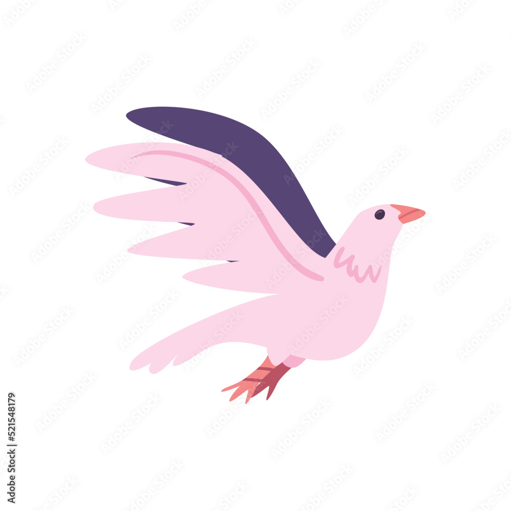 flat dove design flat dove design