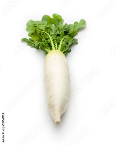 Fresh harvested true daikon radish isolated on white. Focus is on front tip. photo