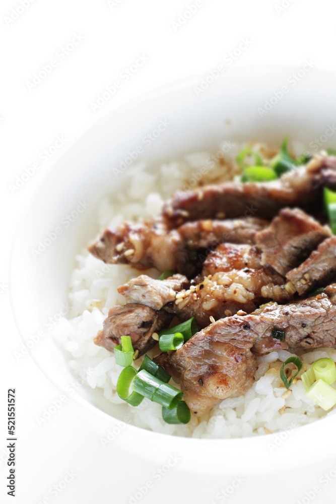 Korean barbecue steak and spring onion on rice for gourmet lunch Korean barbecue steak and spring onion on rice for gourmet lunch