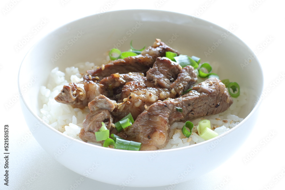 Korean barbecue steak and spring onion on rice for gourmet lunch Korean barbecue steak and spring onion on rice for gourmet lunch