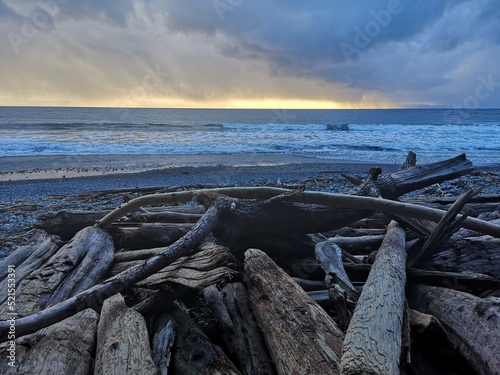 Logs and Thick Clouds © Douglas