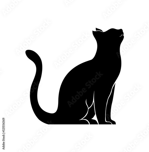 cat silhouette 