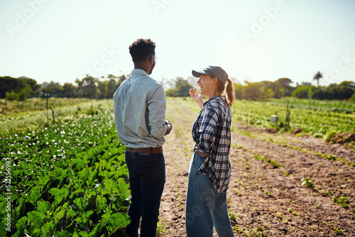 Sustainable farmers talking about organic green crops on a farm on a sunny day outdoors. Two agriculture experts collaborating and discussing the harvest of vegetable food produce on farmland