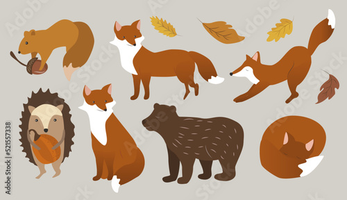 vector autumn illustration in flat style. set of various forest animals - fox, hedgehog, squirrel, bear and autumn foliage  photo