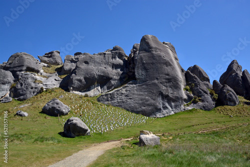 Castle Hill Rocks, North Canterbury, New Zealand